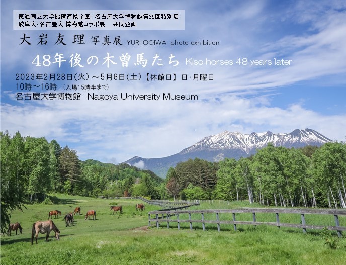 大岩友理 写真展 48年後の木曽馬たち – 株式会社ソフケン