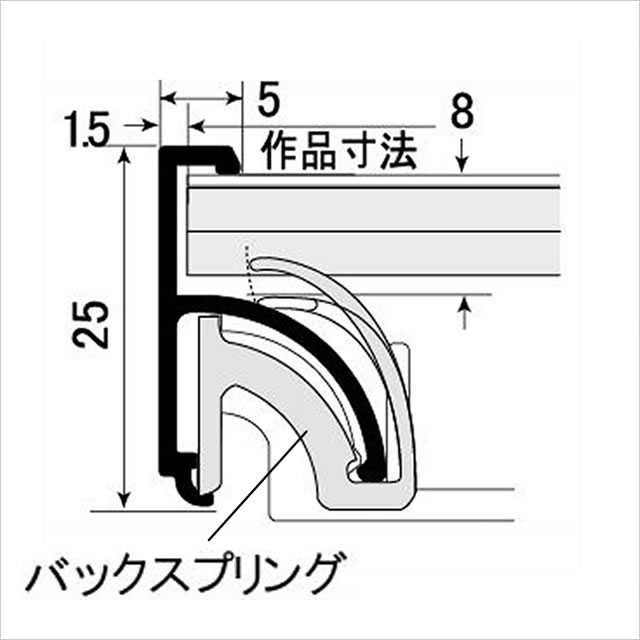 ソリッド5 断面図